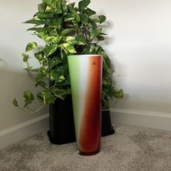 Vase Towle Tall H 20” W 4”