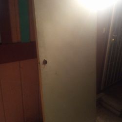 White Flush Slab Door 