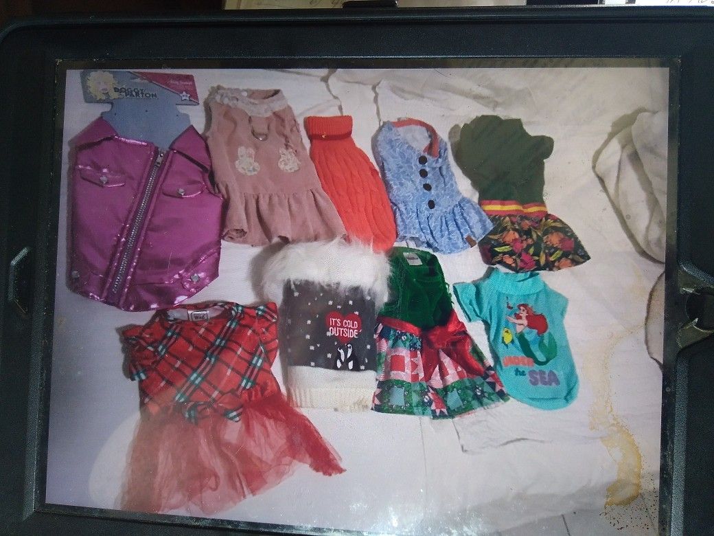 XS   Small DOG CLOTHES  $3 Each 