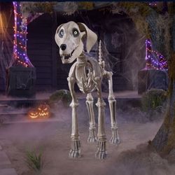 7ft skelly dog for sale! 