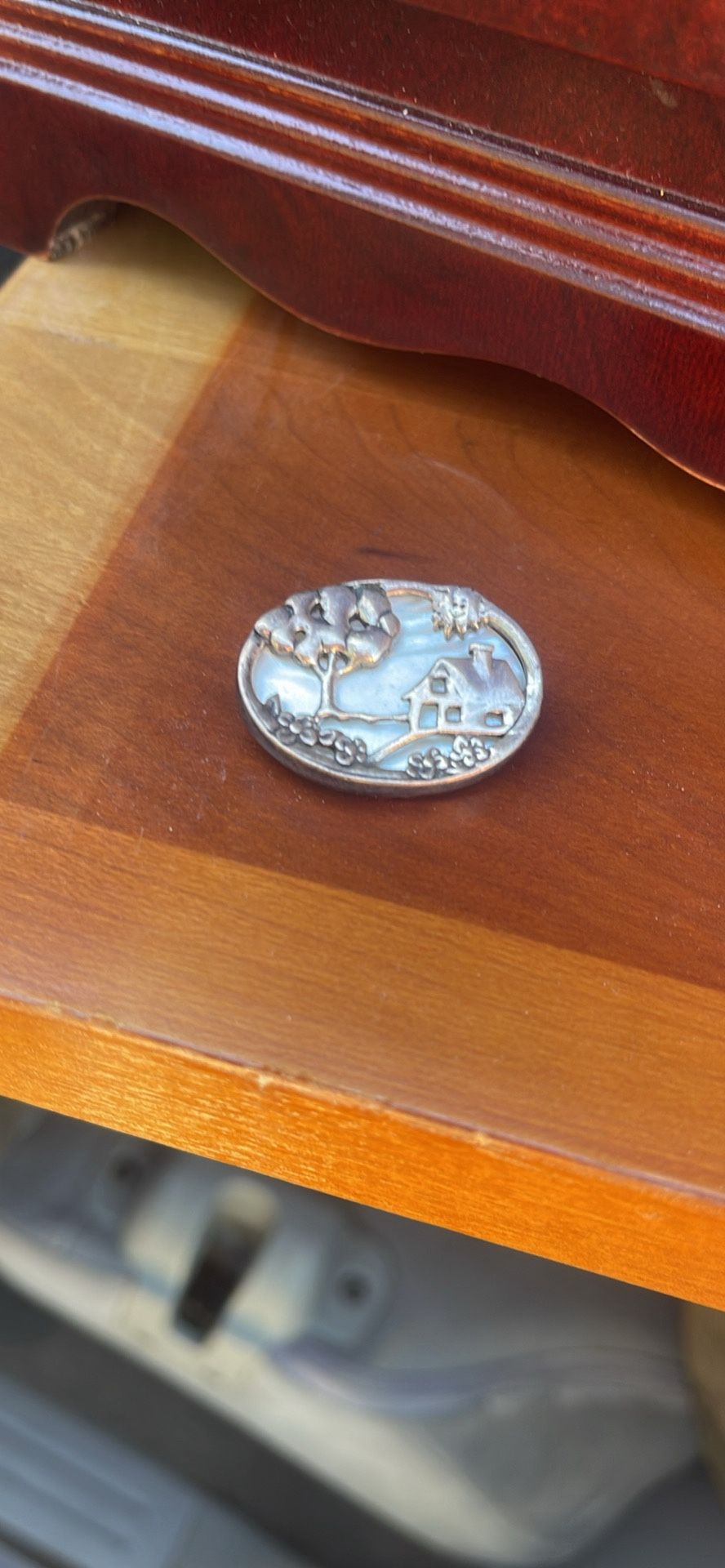 Mother of Pearl Type Pin