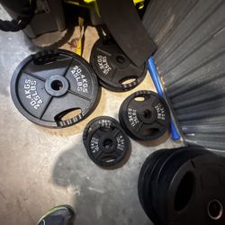 Complete Set of Weight Plates (255 Pounds)