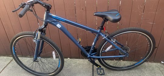 Hybrid bike
