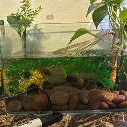 Small Tank 
