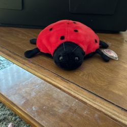 Ladybug beanieBaby 