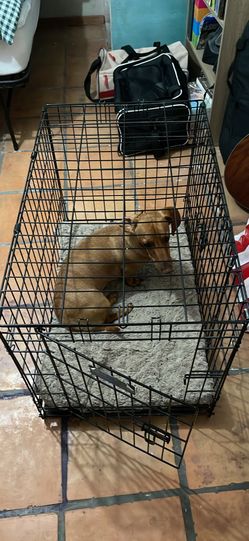 Medium dog crate