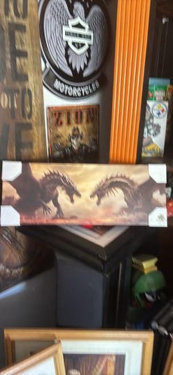 24 by 9 Dragon picture brand new