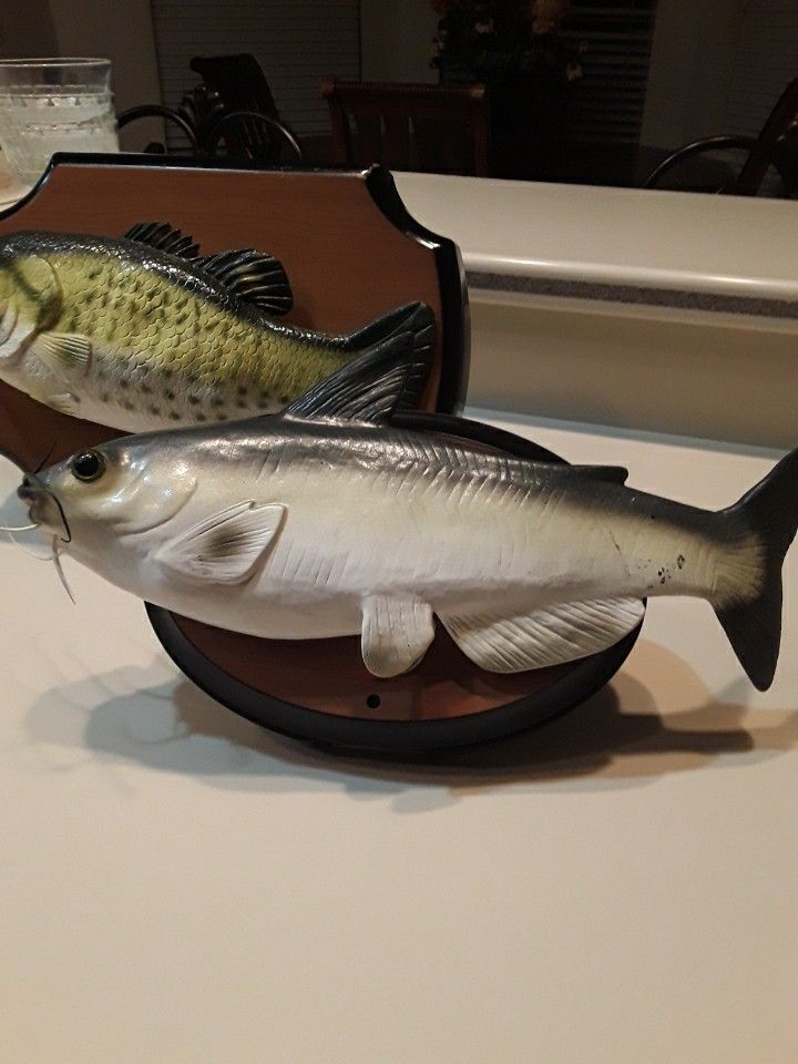 Vintage Talking And Singing Fish Ilike New In Weeki Wachee Spring Hill