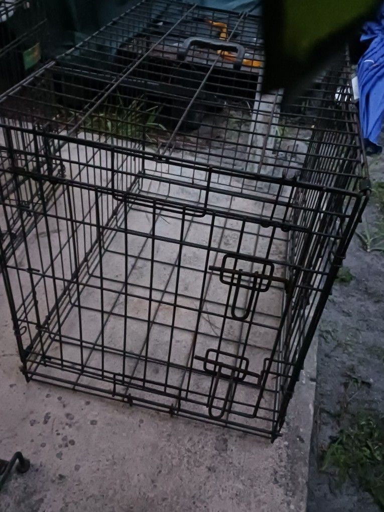 Dog Cages