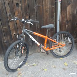 24 inch Bike 1 tire flat