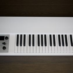 Mellotron M4000D Mini 