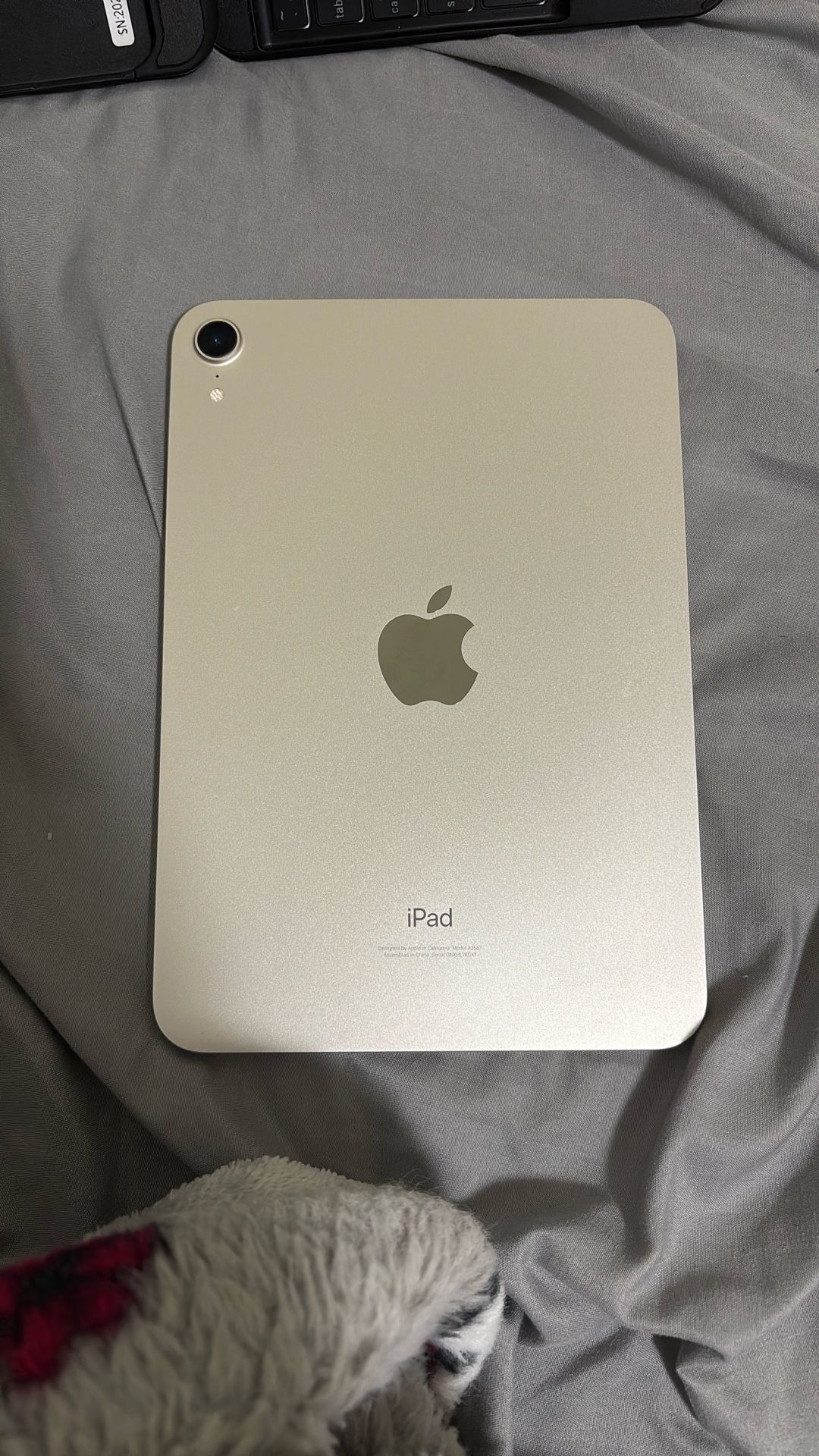 iPad Mini 6 Wifi