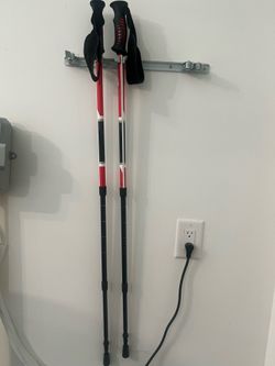 Walking sticks