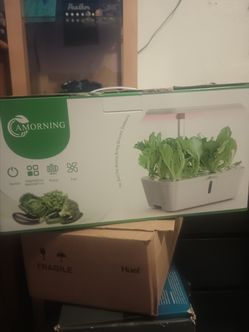 Amorning hydroponic system