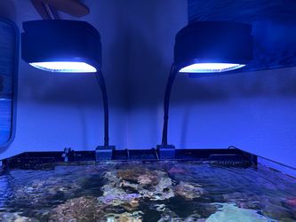 AI LED AQUARIUM LIGHTS