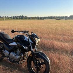2013 gw250 Inazuma
