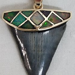 14K Yellow Gold Pendant Natural Black Opal wShark Tooth