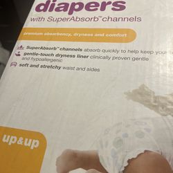 Diapers Size 3 New Box  Target Brand. 