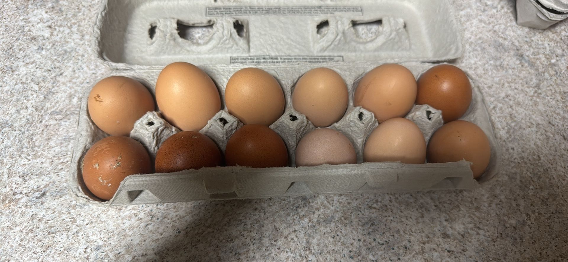 FARM FRESH EGGS