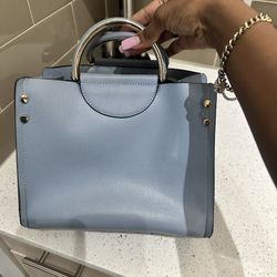 Blue Purse 