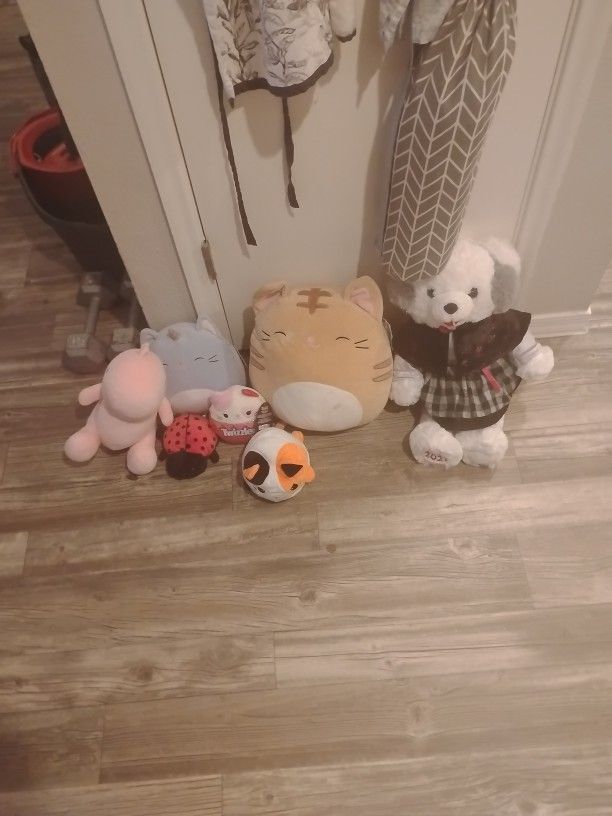 Squishmallow Lot
