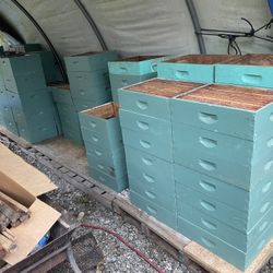 Bee Equipment - Super
