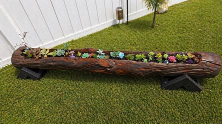 Rustic Handmade Log Planter – Unique Pine Wood Succulent Planter