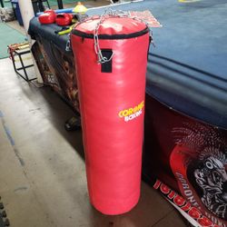 Punching Bag 