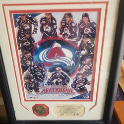 2001 limited edition NHL Stanly Cup championship  picture