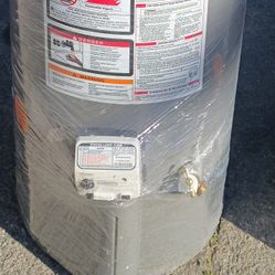 Rheem 40gl Water Heater 