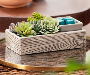 Suc-Cute-Lent Scentsy Warmer
