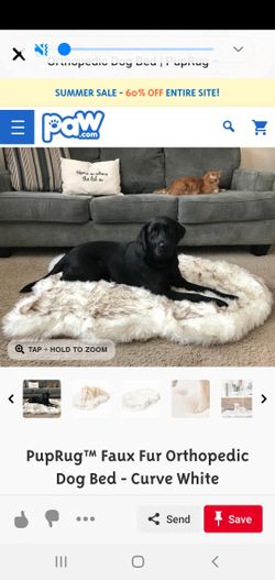 New Memory foam dog bed with removable washable cover, the cover is water resistant. New top of the line dog bed! Paid over 200 asking 120.00