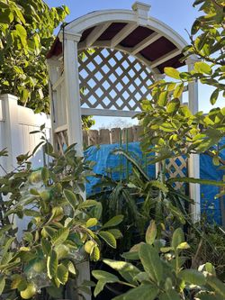 Garden Arch , Arbor Arch , Garden Decor 