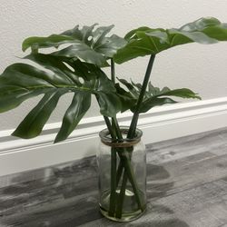 Fake House Plant