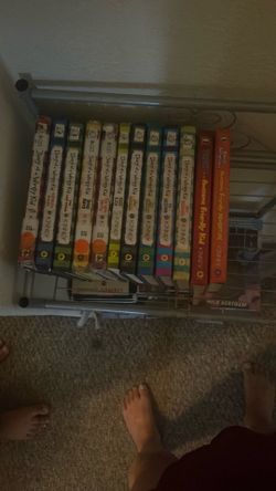 Diary of a wimpy kid series