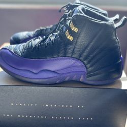 Air Jordan Retro 12 Black & Purple Size 10.5