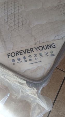 Twin xl mattresses available  $40 each