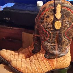 Men's Alagater Boots