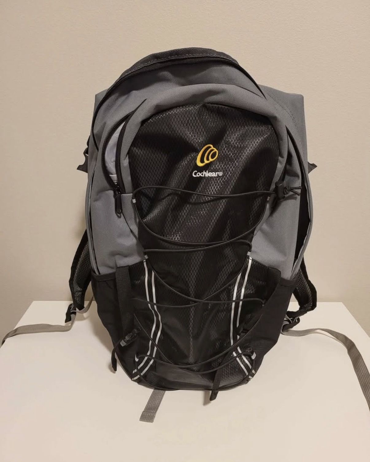 Backpack Laptop Bag