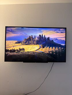 55 inch tv