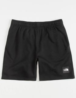 Men's The North Face Never Stop Shorts - Medium