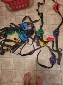 Tree Steps For Easy Climbing