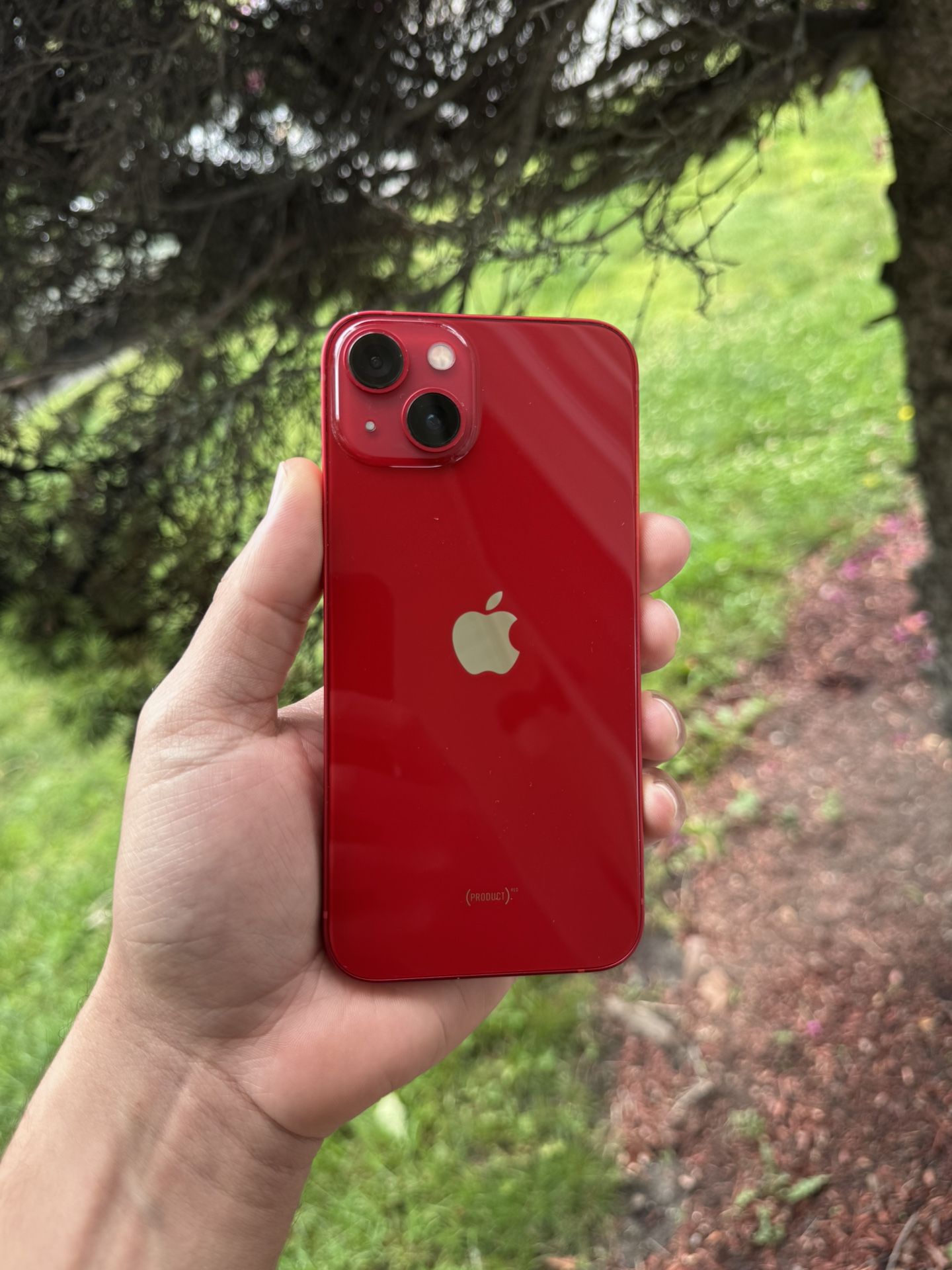 iPhone 13 128gb Unlocked