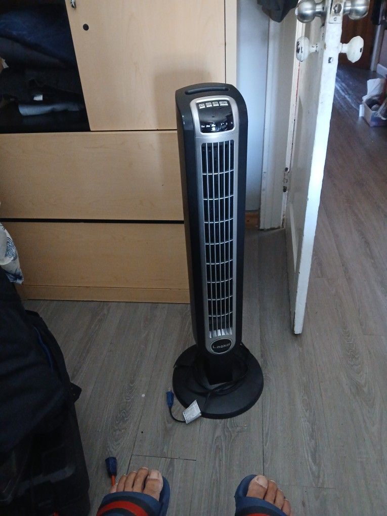 Fan