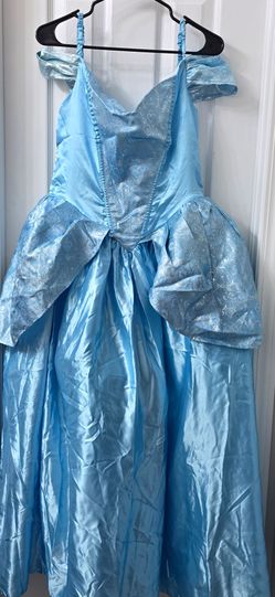 Cinderella costume women's
