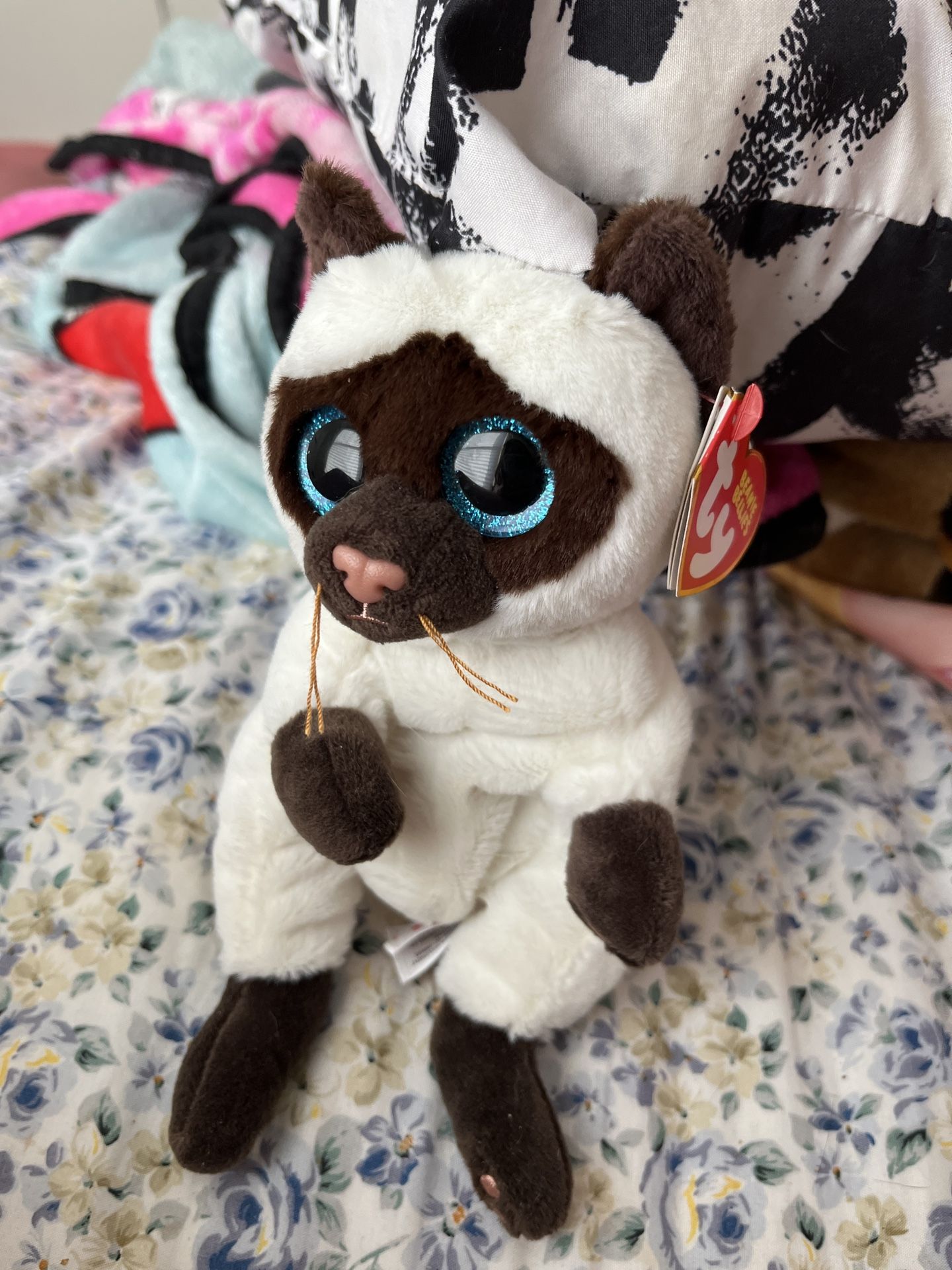 Hey Guys, I’m Gonna Sell These Plushy‘S In A Pack