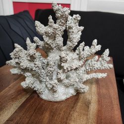 Silver Coral Decor