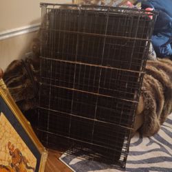 Huge Dog Cage