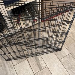 Dog Octagon