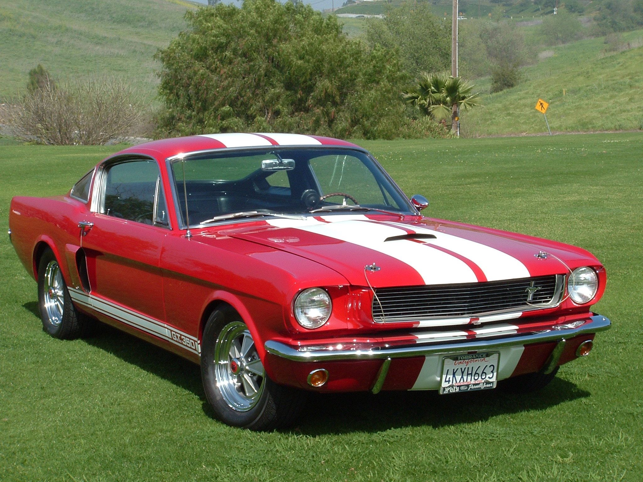 1966 Shelby GT350 Original Body Panels